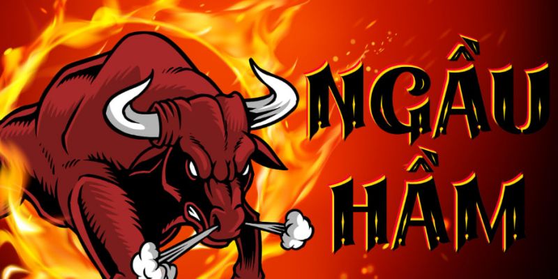 Cách Chơi Ngầu Hầm - Bí Quyết Mà Mọi Tân Thủ Nên Nắm