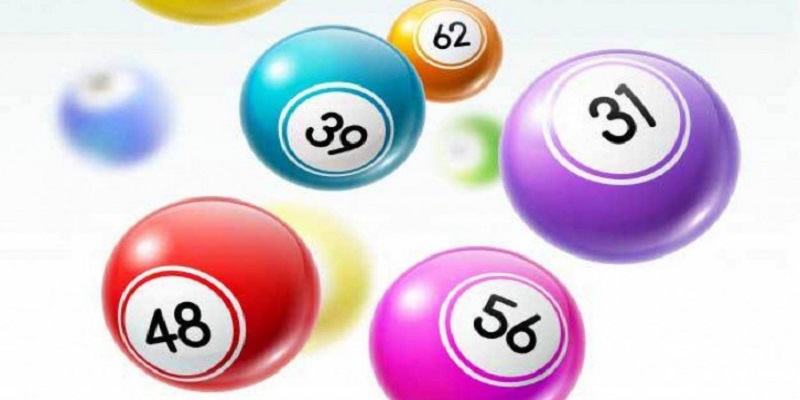 Các loại xổ số TP 8XX